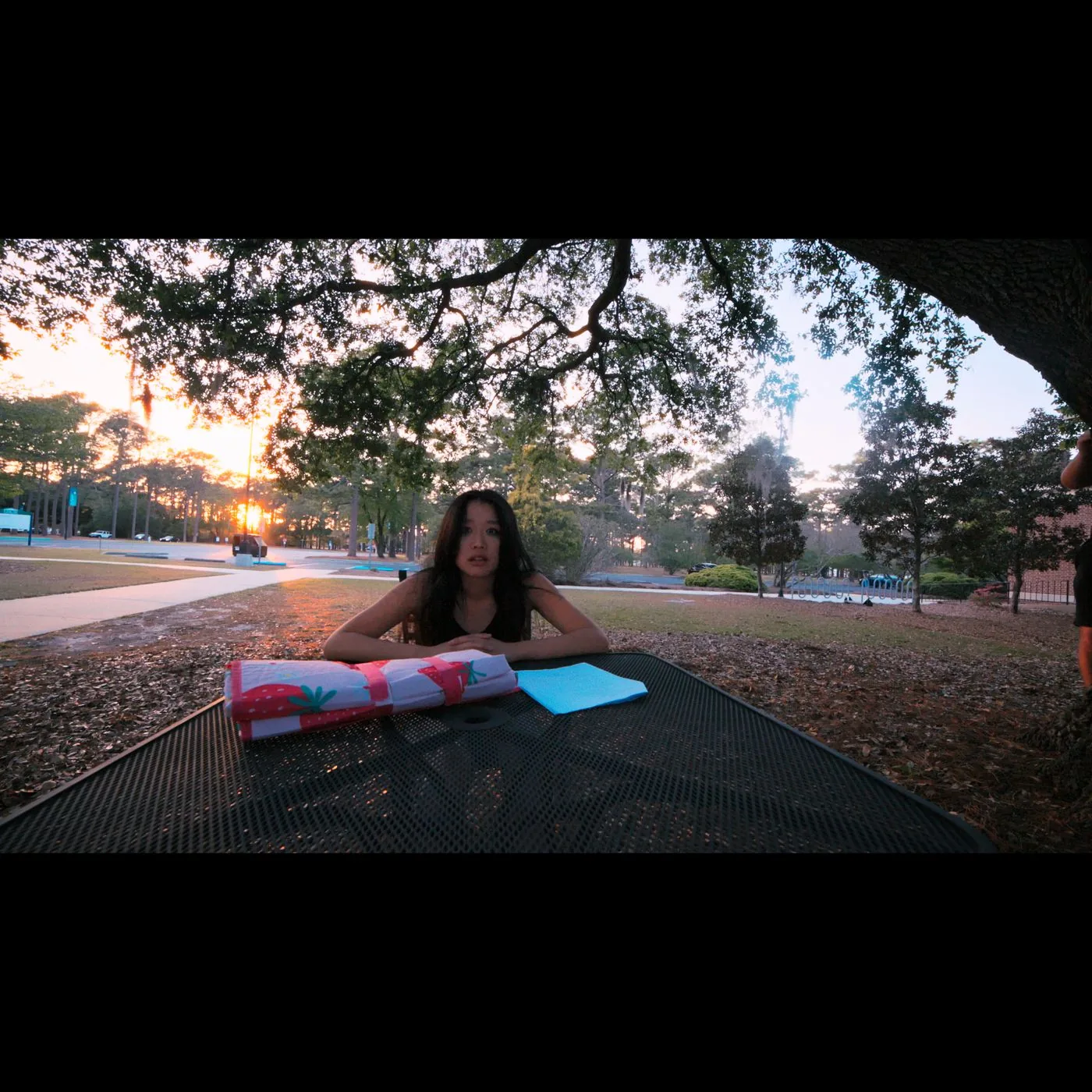 Film frame — choice moment